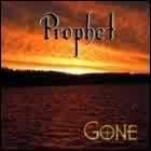 Fragile Hollow : Gone